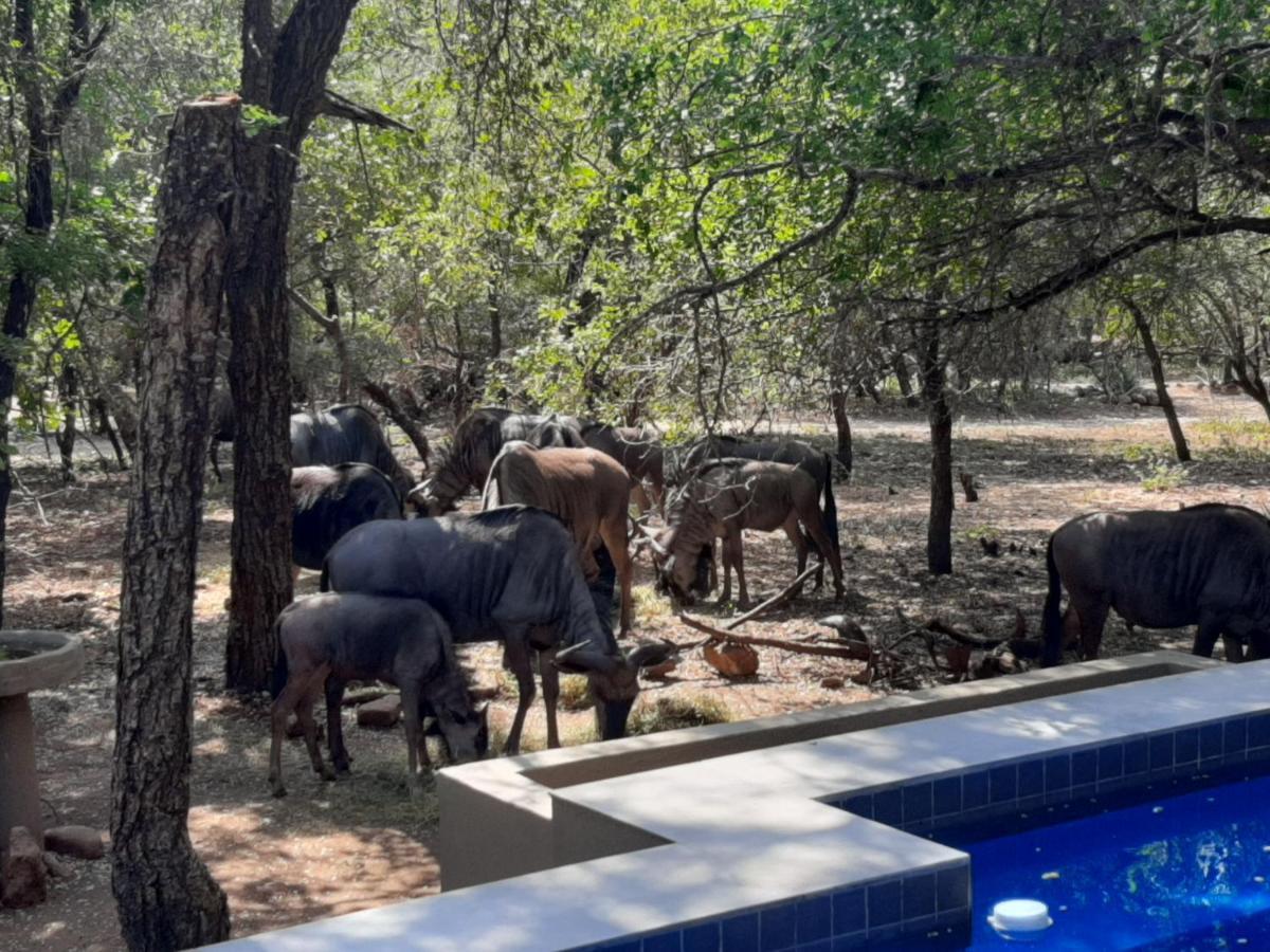 African Sky Villas Marloth Park Kültér fotó