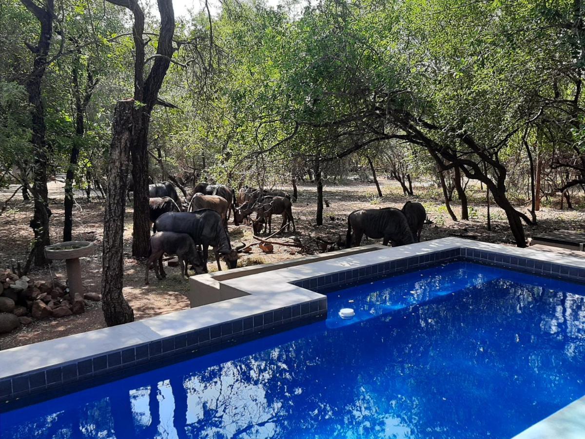 African Sky Villas Marloth Park Kültér fotó