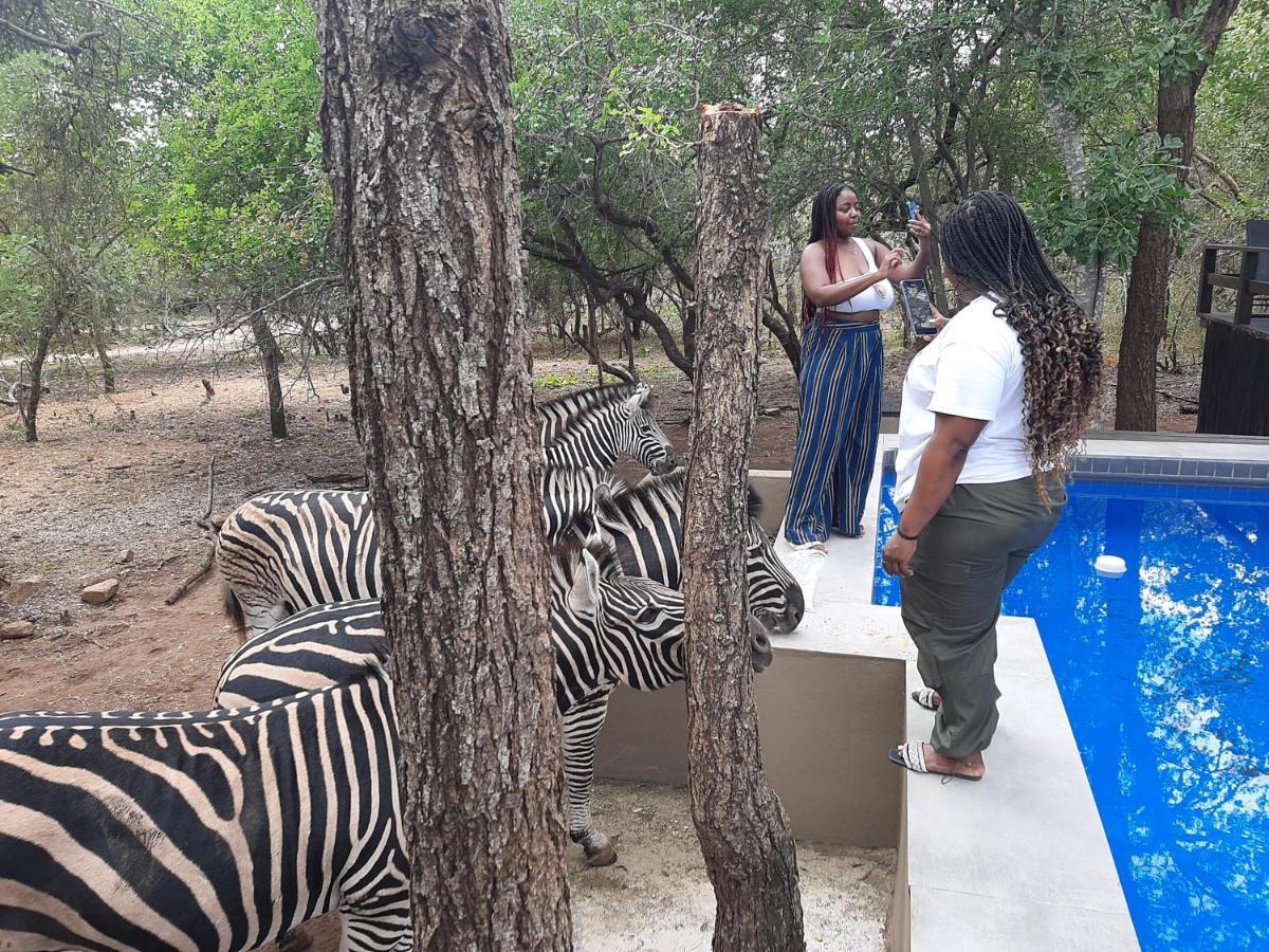 African Sky Villas Marloth Park Kültér fotó